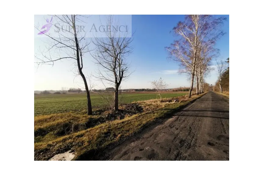 oławski, Jelcz-Laskowice, Miłocice Małe, Atrakcyjna działka rolna w Miłocicach Małych